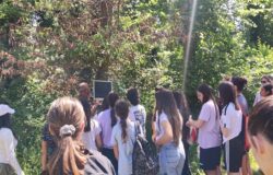 Giornata Mondiale dell’Ambiente, Ambiente Basso Molise