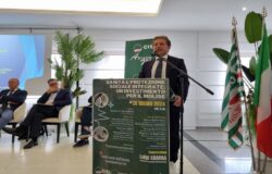 SANITA', MOLISE, Asrem, Sindacati, istituzioni regionali