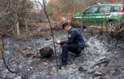 Incendio, residui vegetali, denuncia