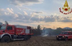 incendio, bosco, vegetazione, azienda agricola, morti, animali