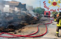 incendio-struttura-rurale-fuoco-animali