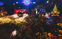 Maltempo, cade, arbusto, auto, transito, miracolata, persona a bordo