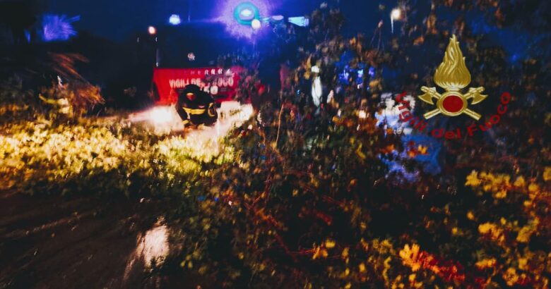 Maltempo, cade, arbusto, auto, transito, miracolata, persona a bordo