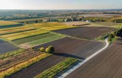 Moratoria debiti, imprese agricole, Coldiretti Molise