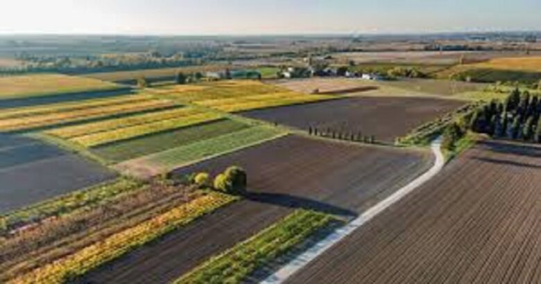 Moratoria debiti, imprese agricole, Coldiretti Molise