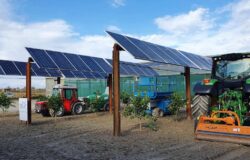 energia, Coldiretti Molise, pannelli, tetti, agrivoltaico