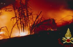 incendio, lambisce, abitazioni, famiglie, evacuate