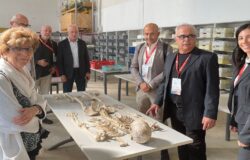 BONeS, Neuromed, banca osteologica del Molise