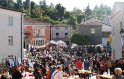 Castel del Giudice, Festa della Mela