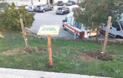 “Un Albero per la Salute”, Carabinieri Forestali