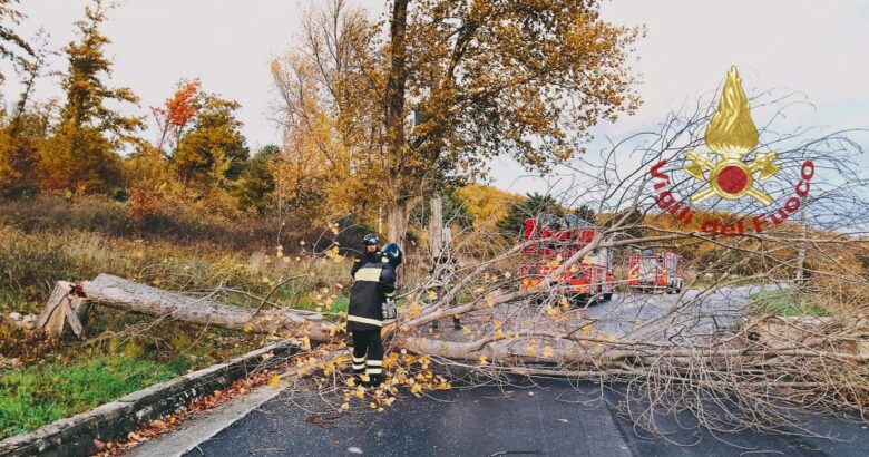 Vento forte, pioggia, Campobasso, rami, alberi, traffico