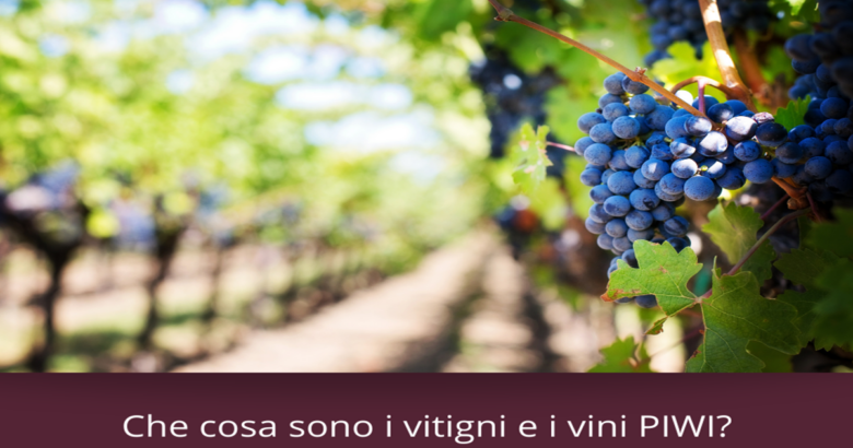 Vitigni PIWI