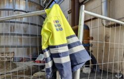 Lavoro, Molise, occupazione, infortuni, malattie