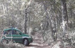 Abusi edilizi, danneggiamento, muretti a secco, bosco, denuncia