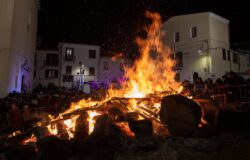 Festa, Sant'Antonio Abate, Campobasso
