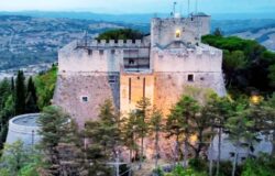 Campobasso, Castello Monforte, rimozione pini neri