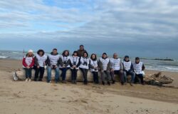 Costa molisana, fratino, censimento