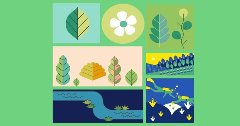 Youth Climate Meeting Molise, giovani, biodiversità, clima, Legambiente Molise