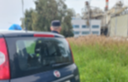 cavallo, seppellito, denunciata, donna