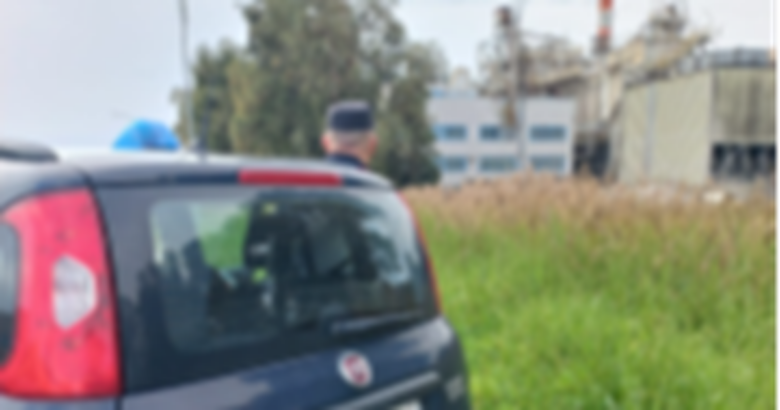 cavallo, seppellito, denunciata, donna