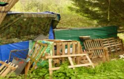 Maltrattamento animali, denunciata, giovane coppia,