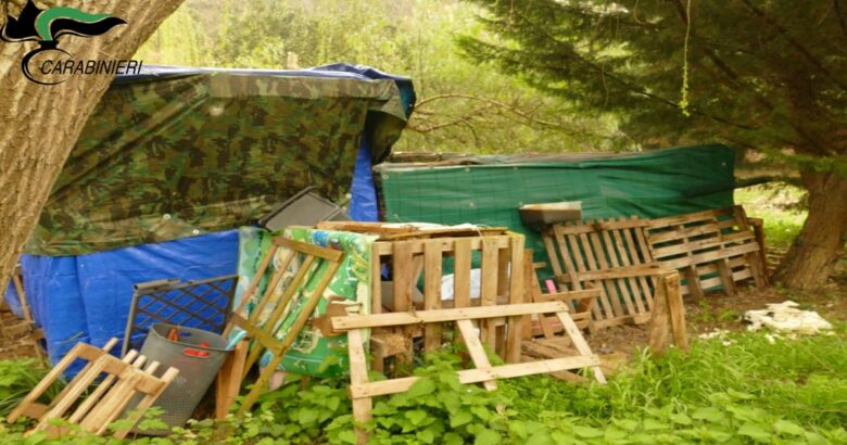 Maltrattamento animali, denunciata, giovane coppia,