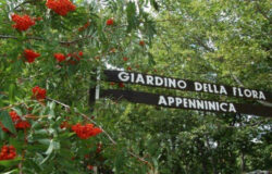 Capracotta, Festival dell'Awen, giardino della flora appenninica,