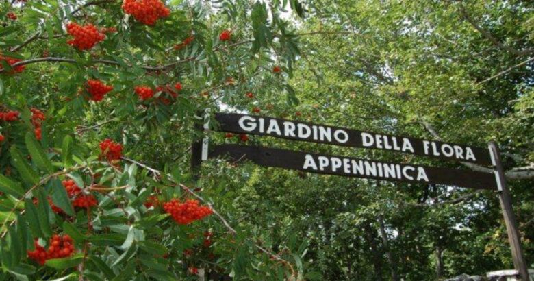 Capracotta, Festival dell'Awen, giardino della flora appenninica,