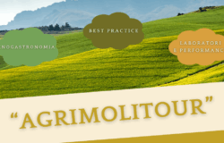 Agrimolitour, scuole molisane