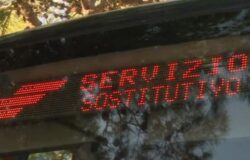 servizio sostitutivo Molise