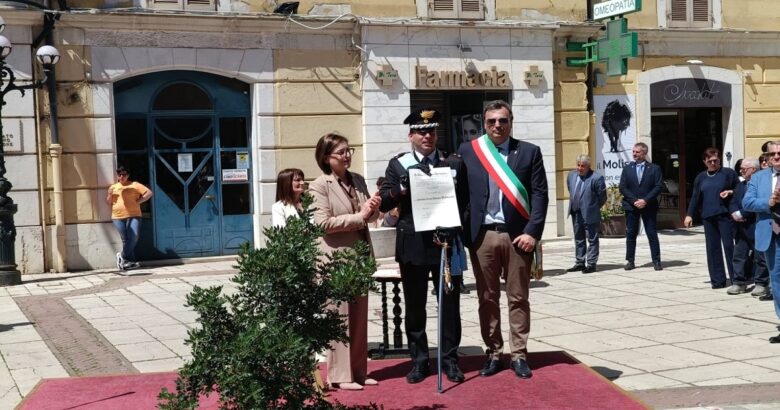 Campobasso, Festa della Repubblica, Giuseppe Puchetti