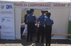 Campobasso previene, risultati, numeri