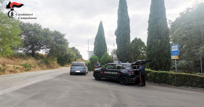 Controlli, Carabinieri, Basso Molise, denunce, sanzioni, perquisizioni