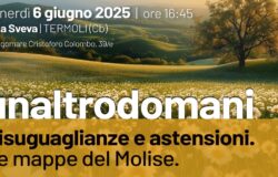 Disuguaglianze, astensionismo, Molise, Partecipa Molise, Termoli