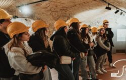Molise Wow, operatori museali, guide turistiche
