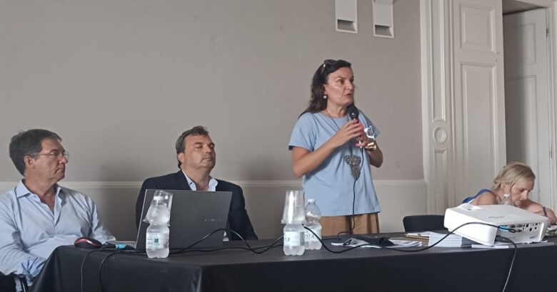 Partecipa Molise, Larino, fonti alternative, aree non idonee