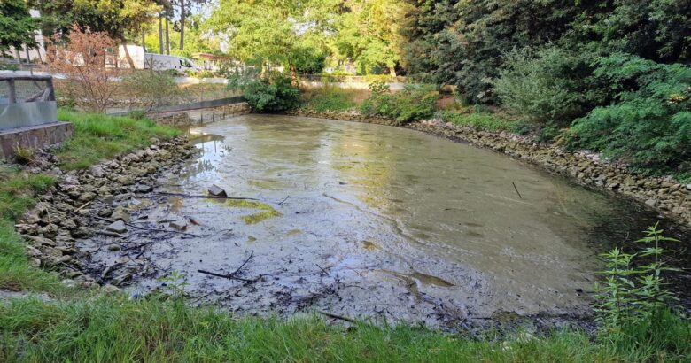 Termoli, tartarughe, aliene