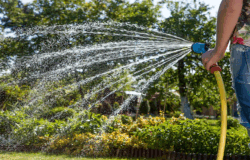 divieto acqua giardino