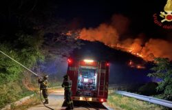 Agnone, fiamme, incendio domato, distrutti, ettari, verde