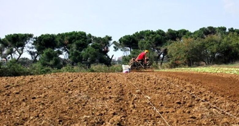 Agricoltura, Molise, giovani, bandi