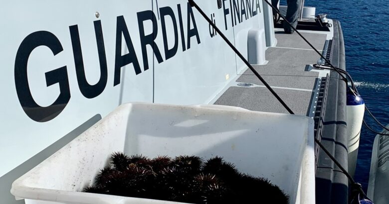 Blitz, Guardia di Finanza, pescatore, ricci,