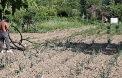 Isernia, orto sociale, La Famiglia di Nazaret