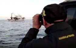 Pesca illegale, Guardia di Finanza, polpi, pescatore, sanzionato