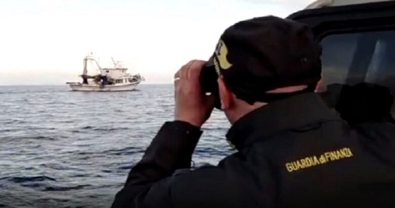 Pesca illegale, Guardia di Finanza, polpi, pescatore, sanzionato