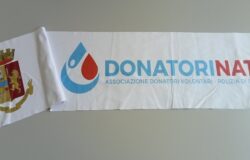 donatorinati