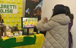 Casearia, Coldiretti Molise, fiera formaggi