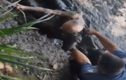 Fango, anziano, Carabinieri, torrente