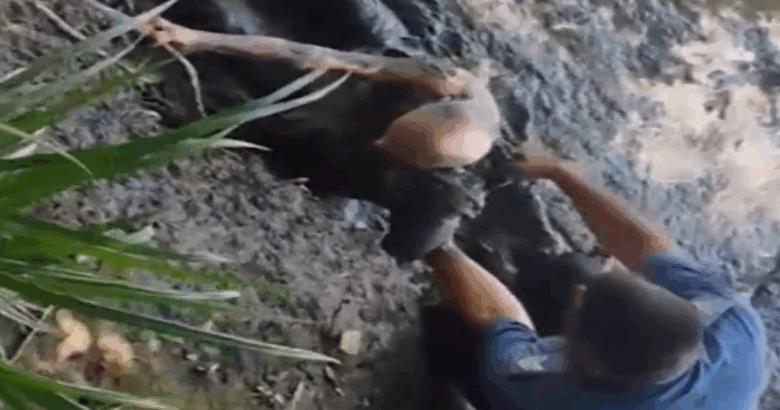 Fango, anziano, Carabinieri, torrente