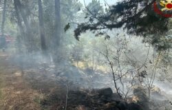 Fiamme, pineta, Macchia d’Isernia