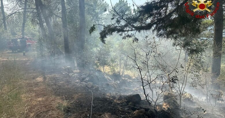 Fiamme, pineta, Macchia d’Isernia